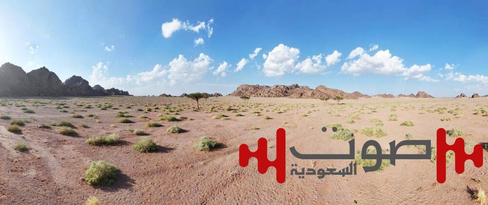 تقييم المواقع المتدهورة نباتياً  في 6 مناطق بـ«الاستشعار عن بعد»