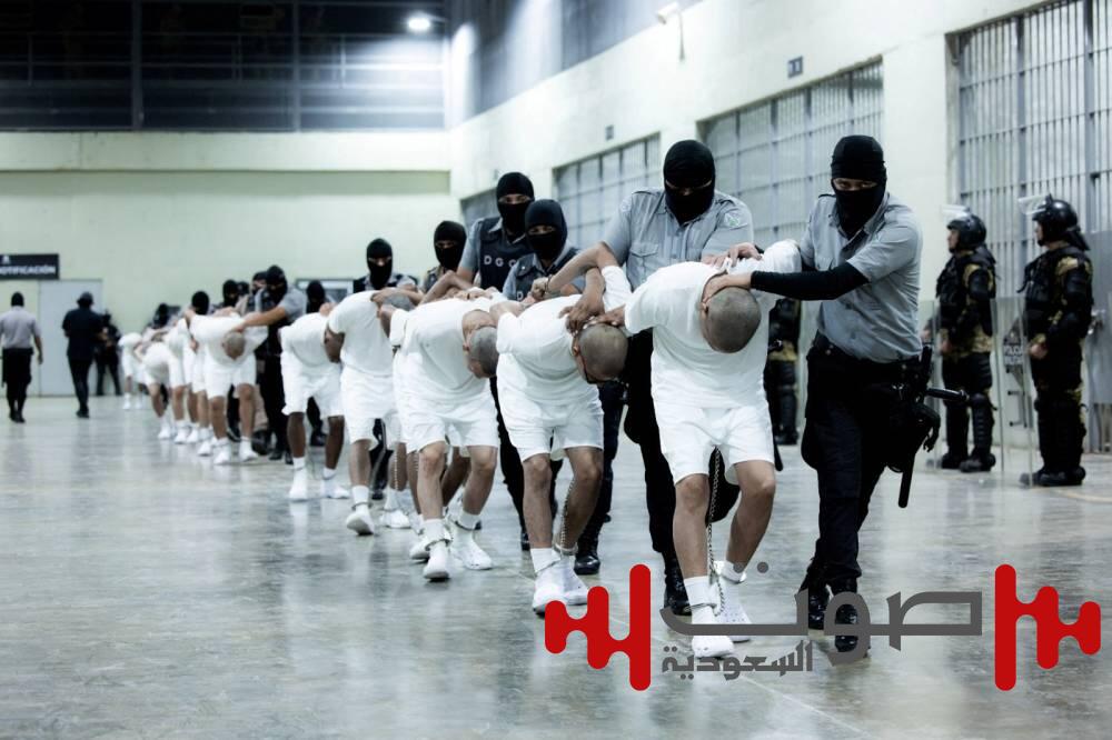 لماذا أوقفت محكمة أمريكية ترحيل مهاجرين فنزويليين إلى السلفادور؟