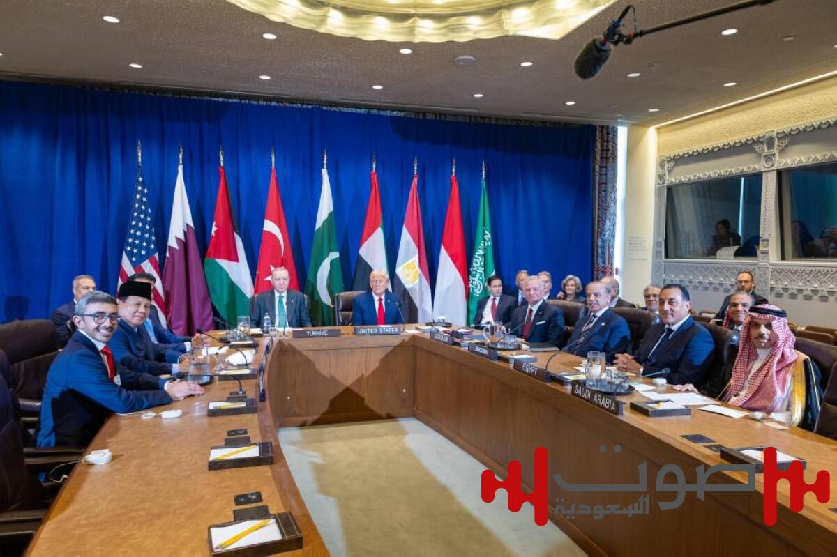 قمة الدول الإسلامية ـ ترمب تشدد على وضع خطة لتحقيق الاستقرار في فلسطين