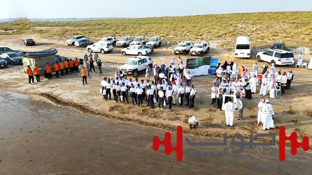 300 متطوع ومتطوعة يسهمون في زراعة 2000 شتلة مانجروف