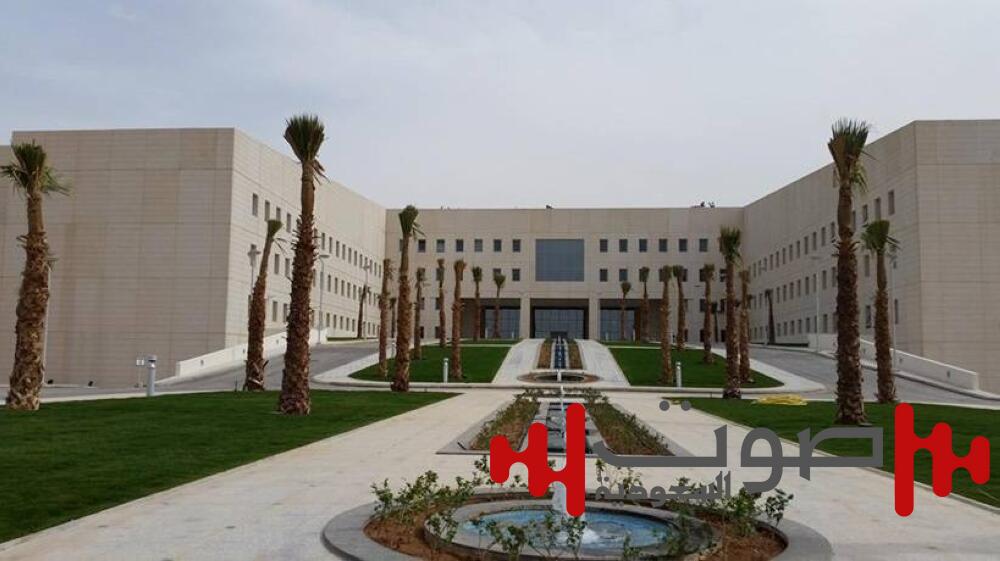 المدينة.. إغلاق إدارات التعليم بالمحافظات والمكاتب الداخلية والخارجية