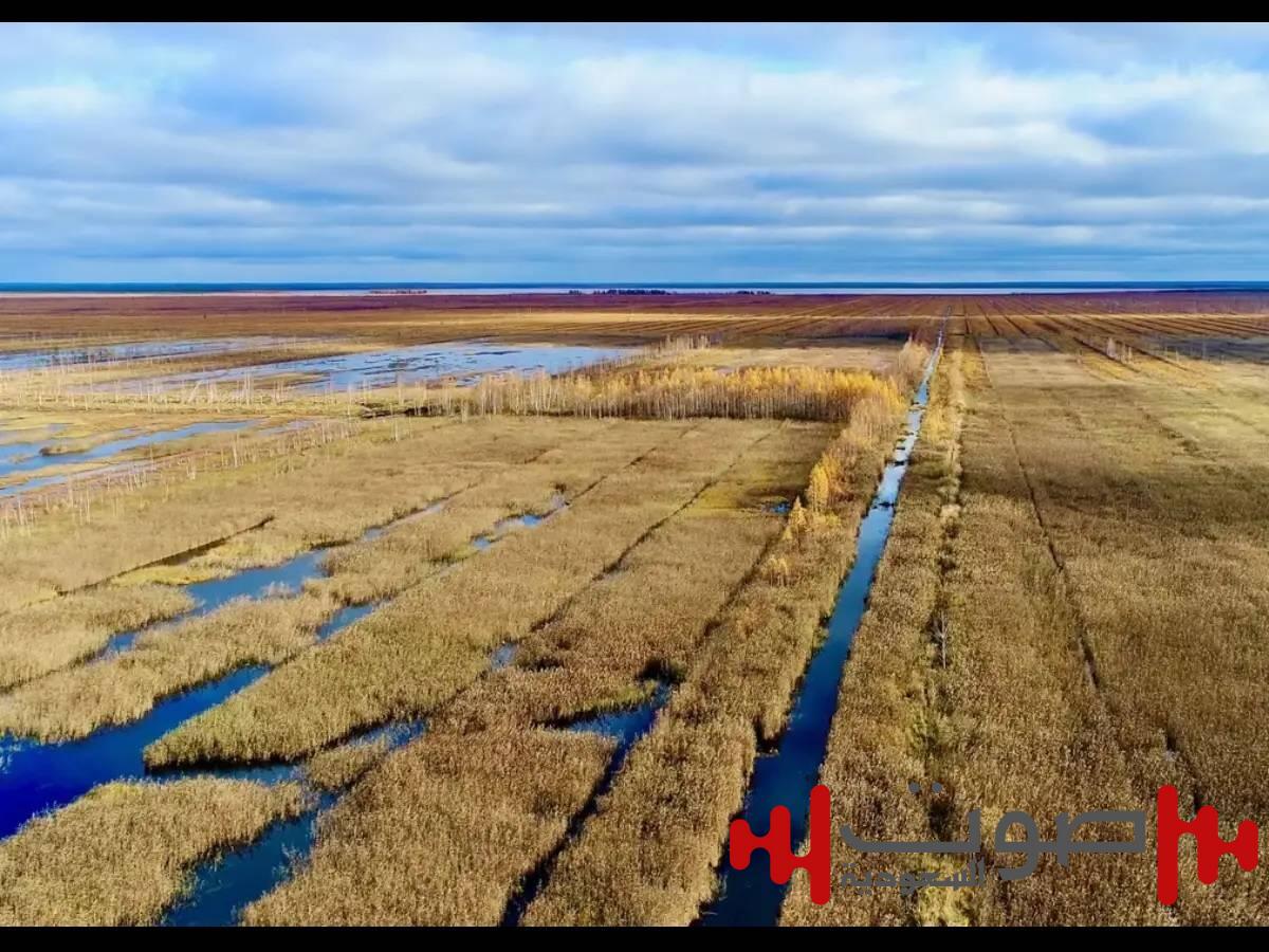 علماء يحذرون من اختفاء 20 % من الأراضي الرطبة