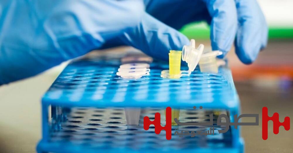 أبٌ يزوِّر اختبار DNA للهروب من النفقة.. والأم تقوده للسجن