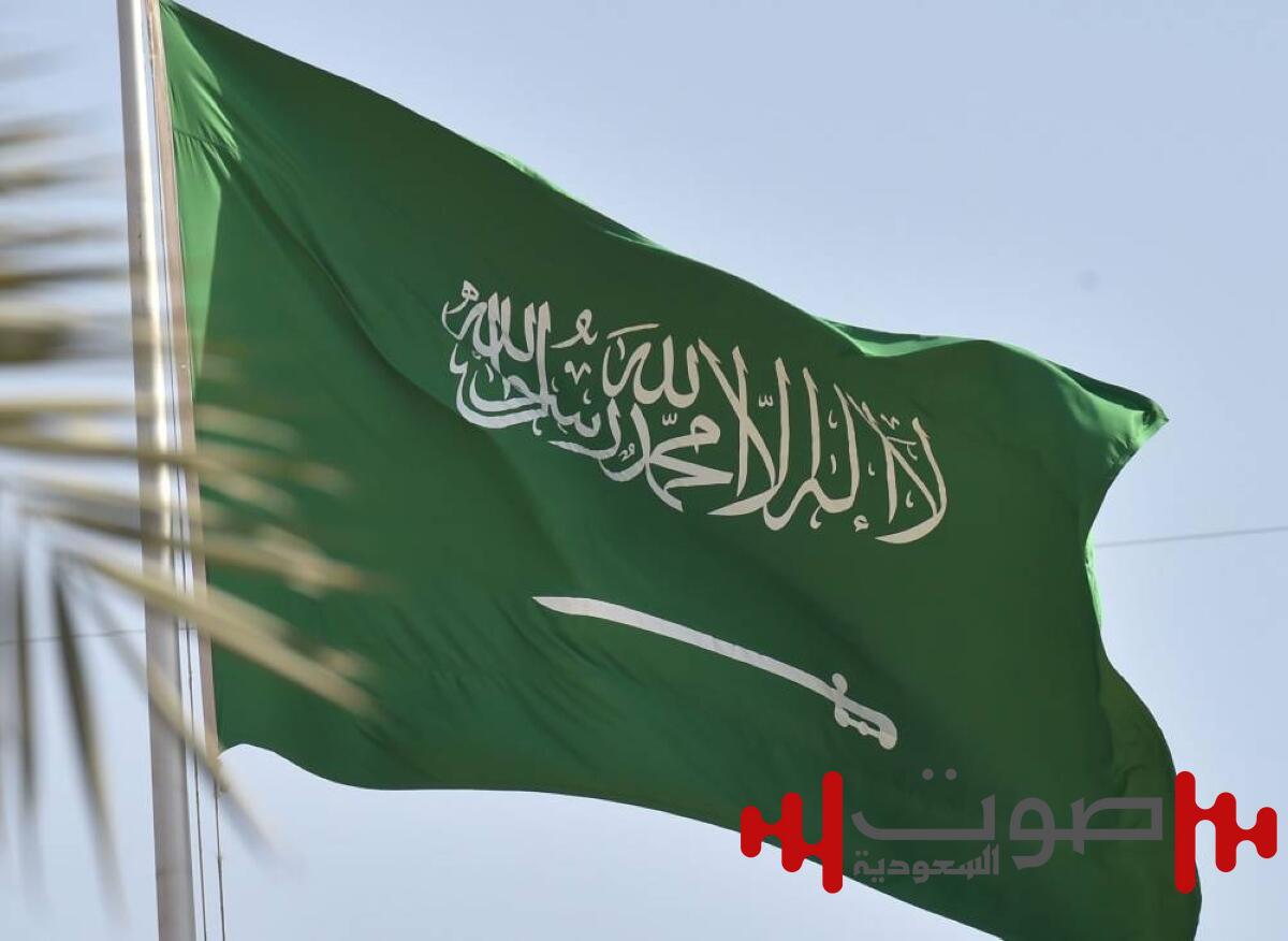 برنامج معاشات وادخار للسعوديين والمقيمين.. يعلن قريباً