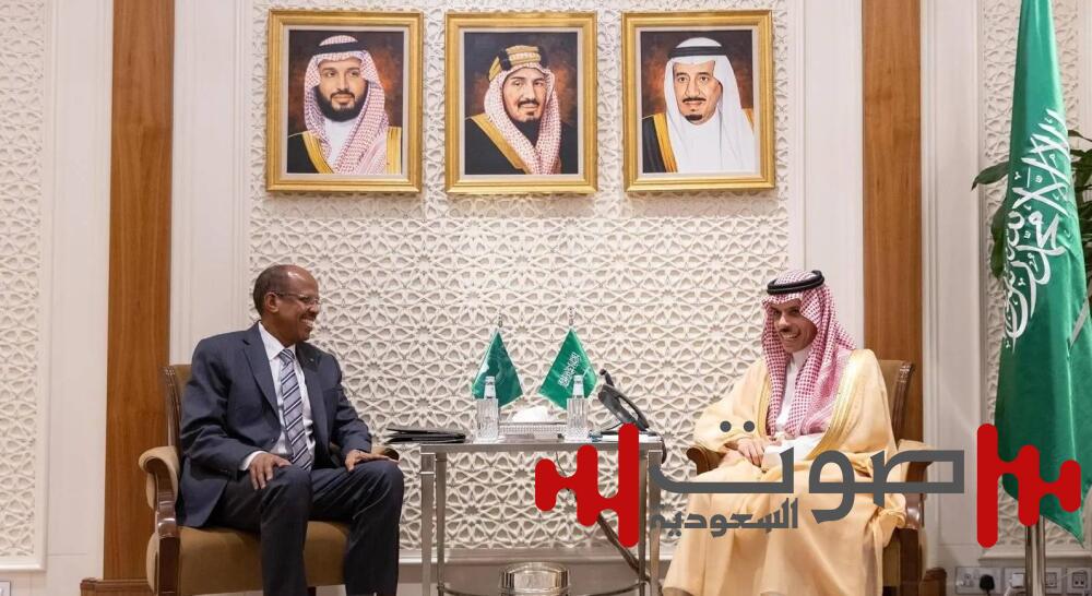 وزير الخارجية يستقبل رئيس مفوضية الاتحاد الأفريقي