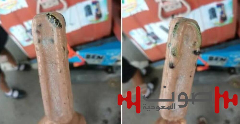 صدمة.. ثعبان مُتجمِّد بقطعة «آيس كريم» في تايلند
