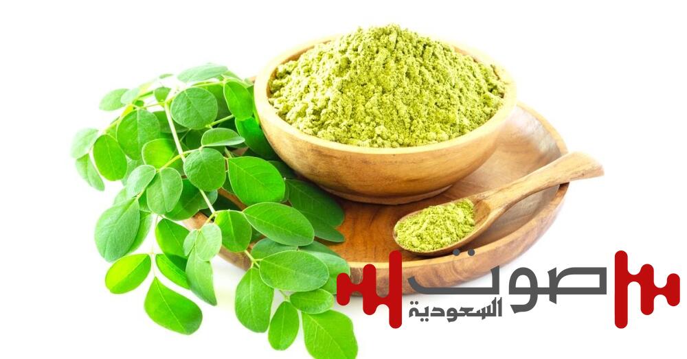 فوائد عشبة المورينغا للمسن