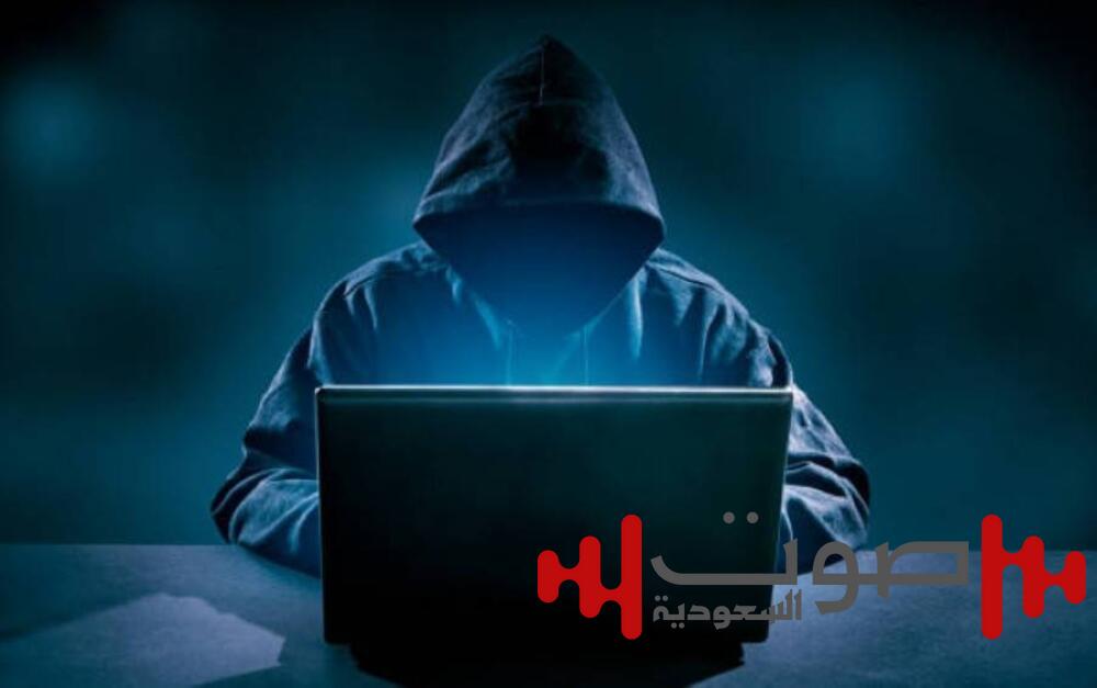 لصوص النت.. مجرمون بلا أقنعة
