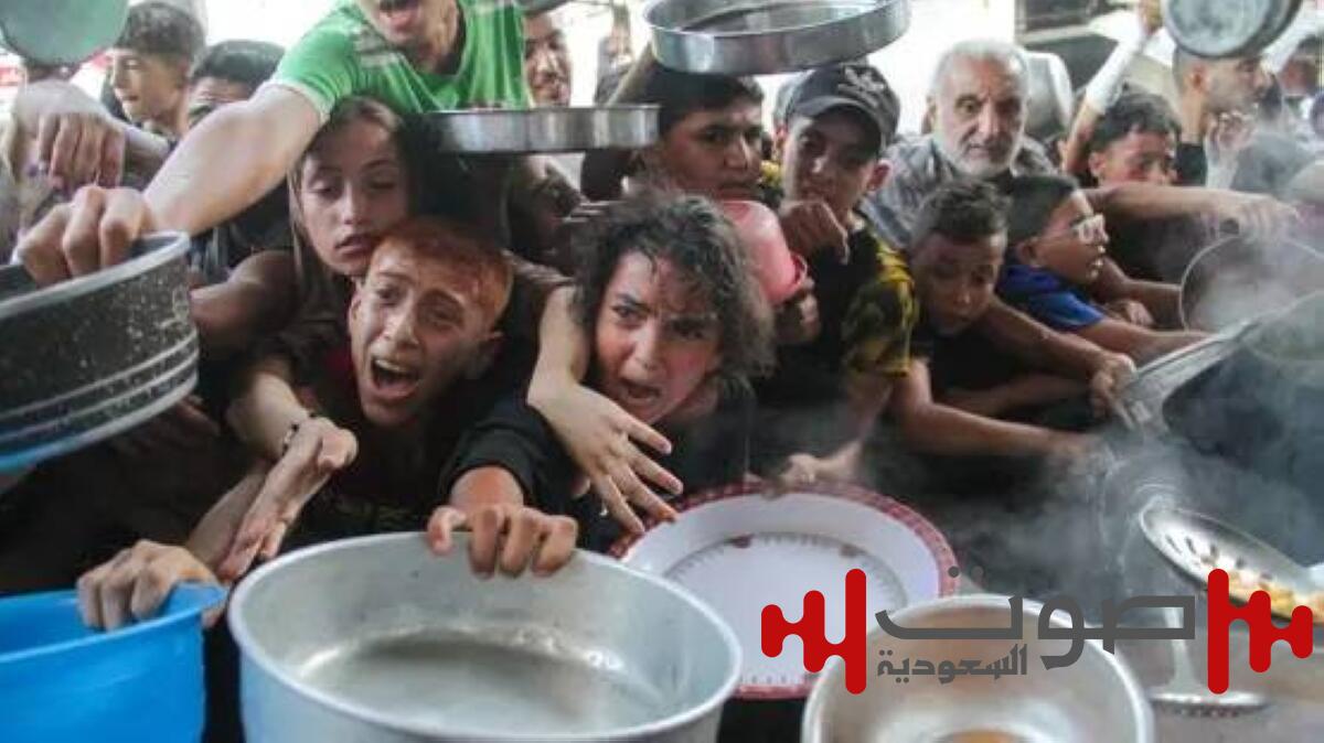 فيديو: المجاعة تضرب غزة.. وإسرائيل تتوعد بالقوة النارية