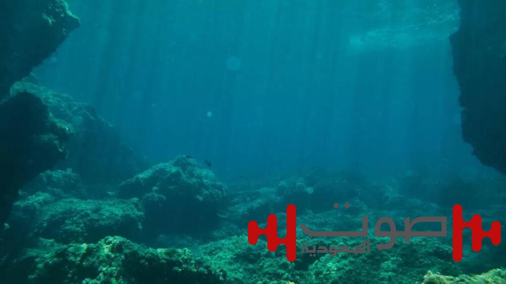 حيّرت العلماء.. جمجمة مدفونة منذ 140 ألف عام بقاع المحيط!