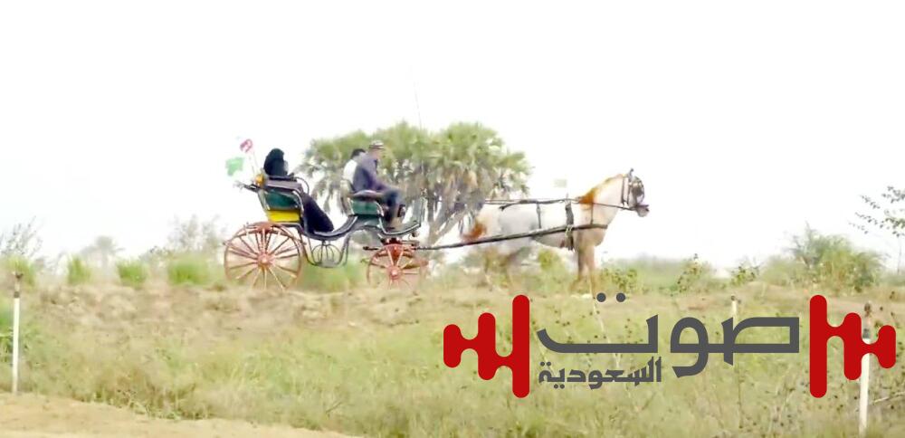 25000 زائر لفعاليات «شتانا ريفي»
