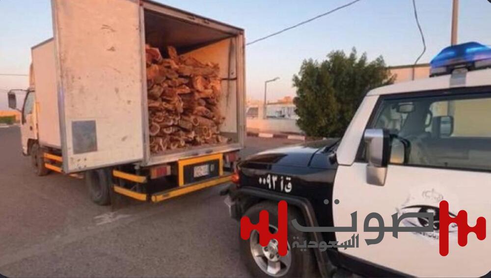 دوريات الأمن بالقصيم تضبط مخالفاً لنظام البيئة