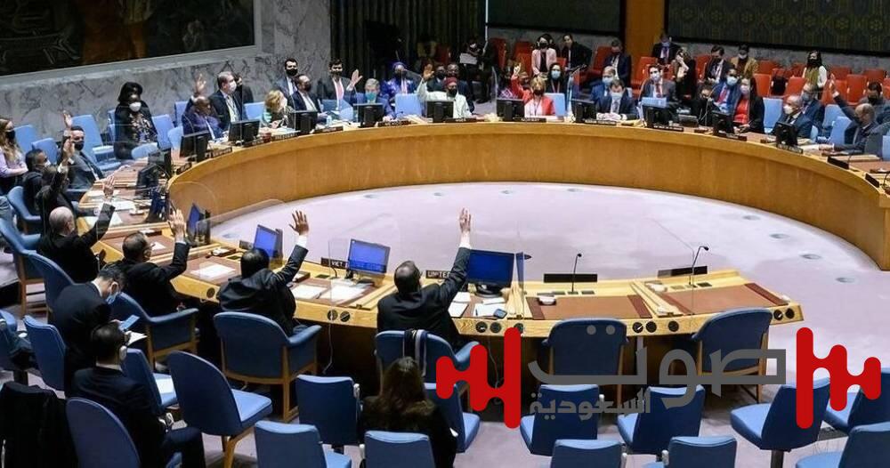 مسؤول في الأمم المتحدة يدعو مجلس الأمن إلى التحرك لمنع وقوع إبادة في غزة