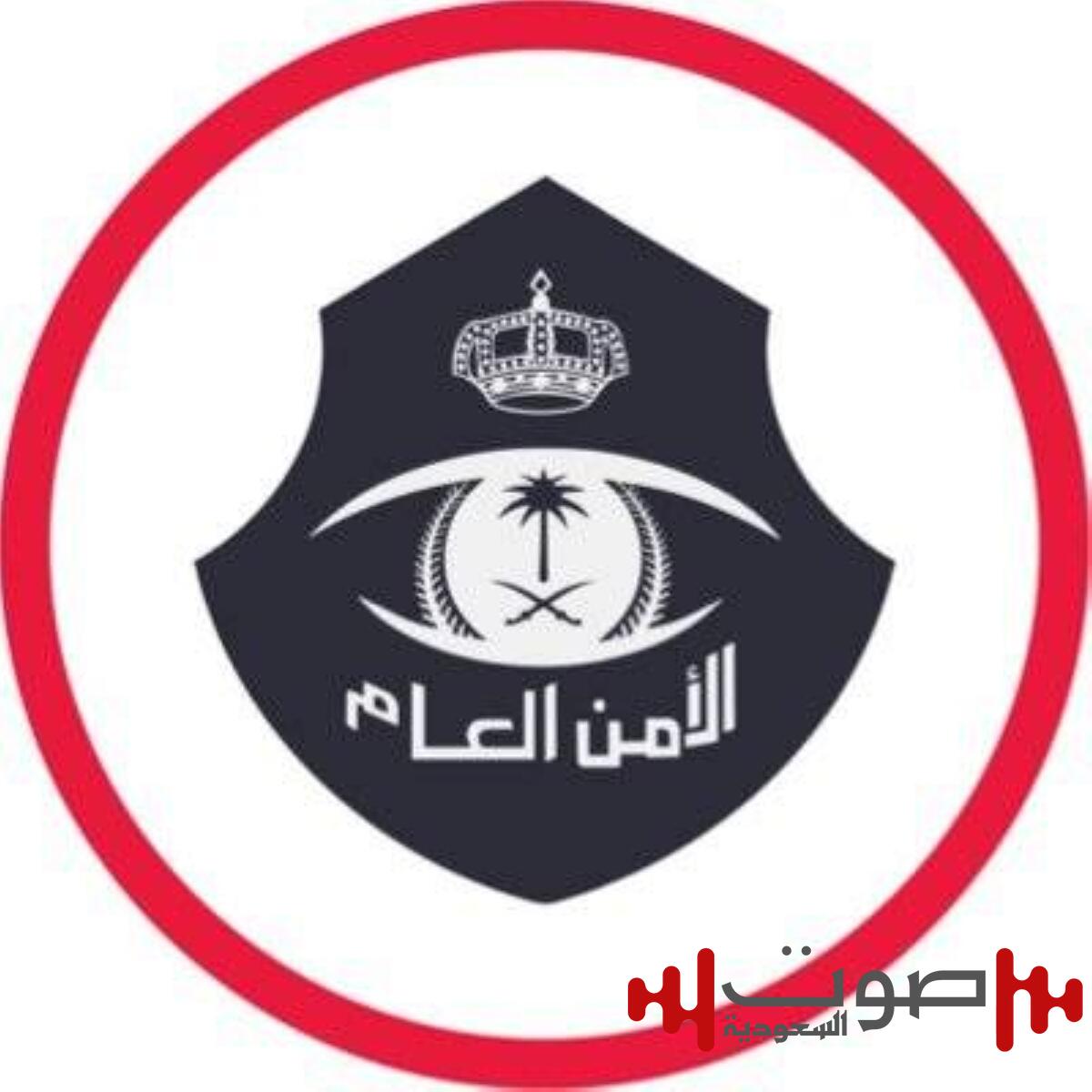 الجوف: ضبط 4 وافدين لممارستهم الدعارة