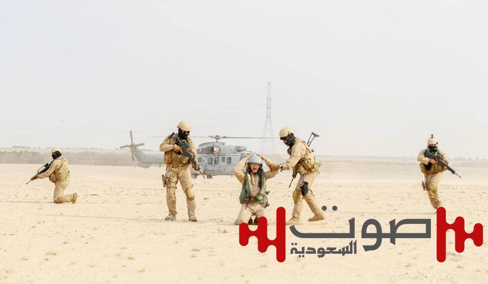 «رماح النصر».. تمرين جوي لرفع القدرات القتالية بمشاركة 15 دولة