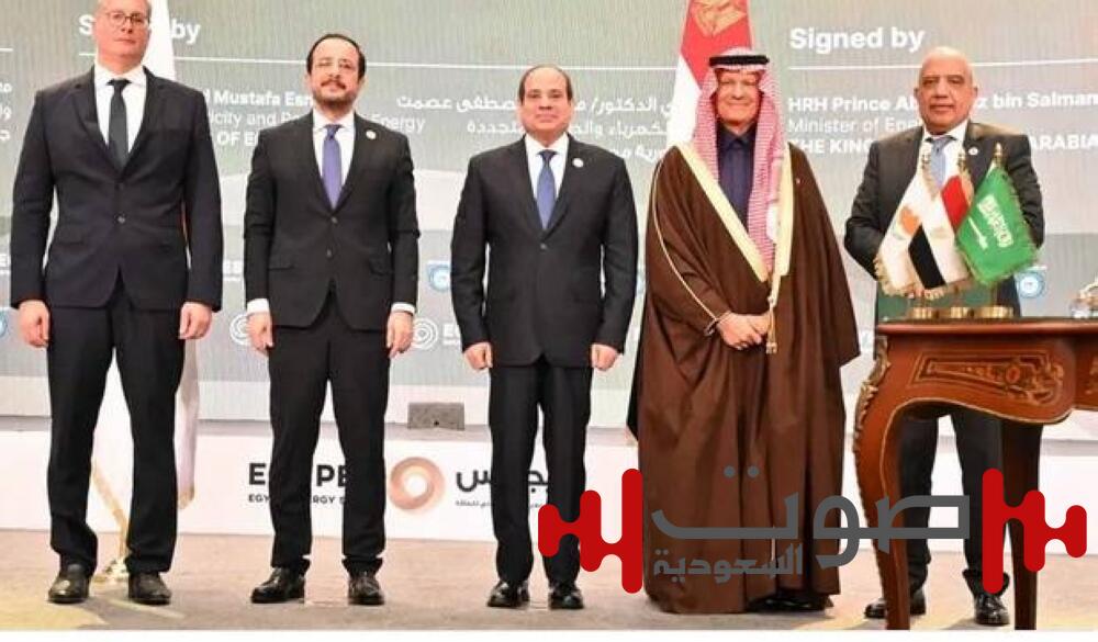 وزير الطاقة: دراسة لإنشاء كيان سعودي - مصري لإعادة تأهيل المباني الوطنية