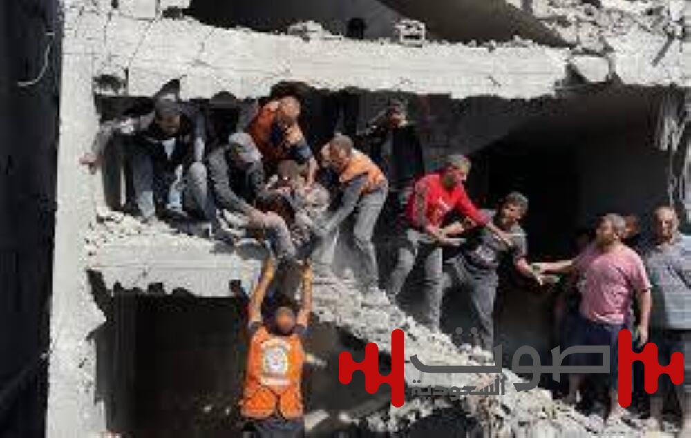 مجلس أوروبا: ما يجري في غزة «تطهير عرقي وإبادة جماعية»