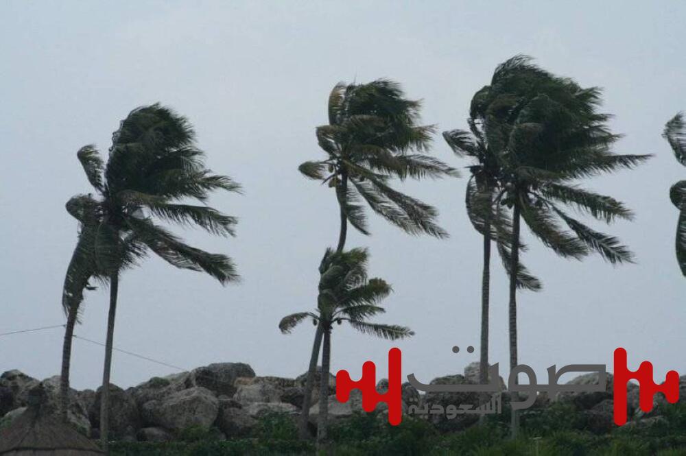 الأرصاد: رياح نشطة على منطقة تبوك