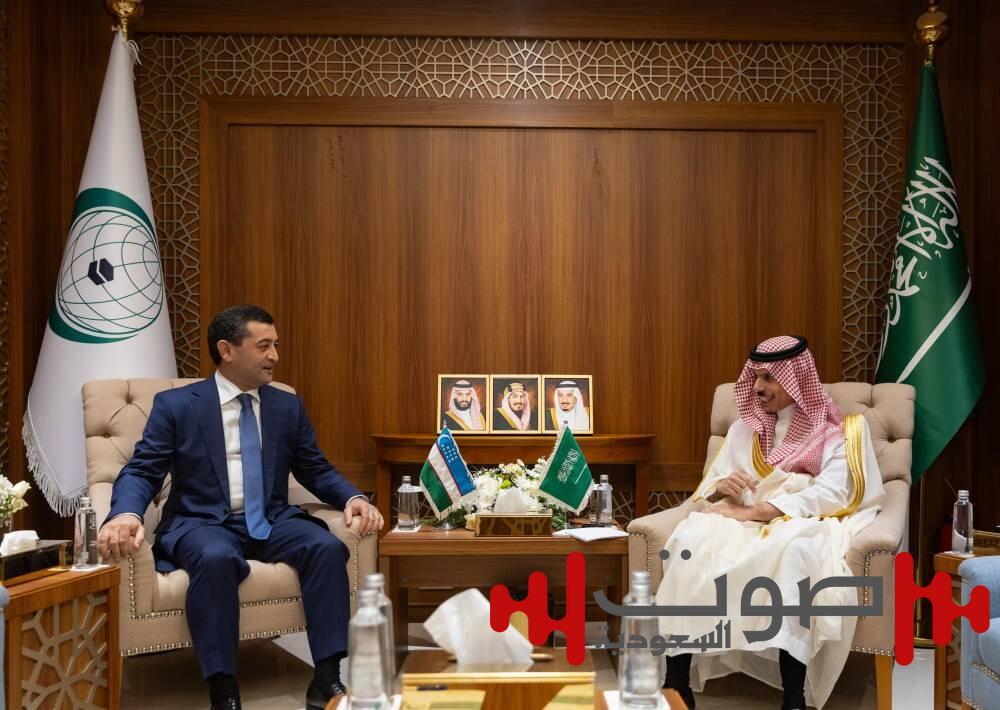 وزير الخارجية ونظيره الأوزبكي يستعرضان العلاقات الثنائية وسبل تعزيزها