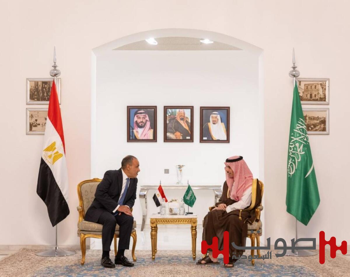 السعودية ومصر: إسرائيل تمارس التجويع الممنهج ضد الشعب الفلسطيني