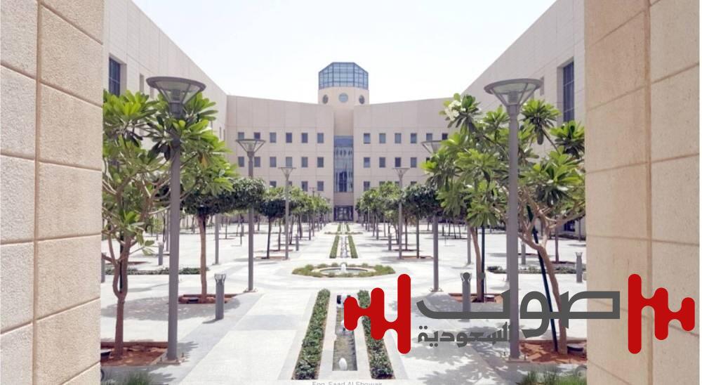 «التعليم»: إعلان المرشحين لأكثر من 10 آلاف وظيفة معلم ممارس