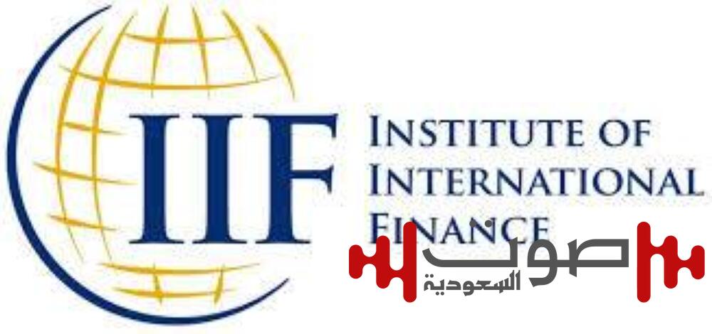 «التمويل الدولي»: الاقتصاد المصري يظهر صموداً غير معتاد