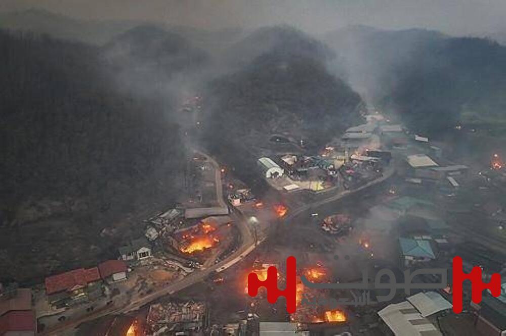 مصرع 24 شخصاً في حرائق تضرب الغابات بكوريا الجنوبية