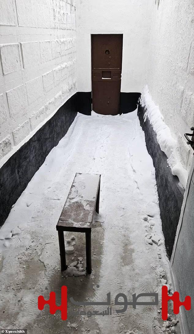 صور الزنزانة القطبية تكشف المعاناة والموت المريب للمعارض الروسي