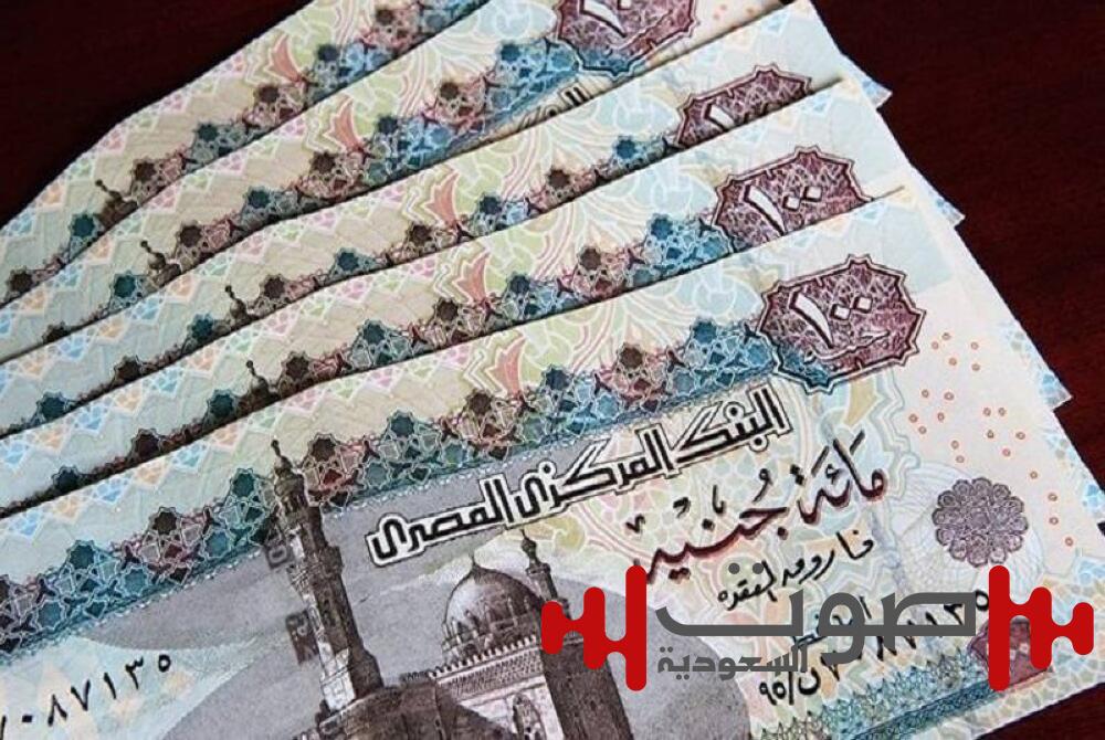 ما توقعات الاقتصاد وسعر صرف الجنيه المصري ؟