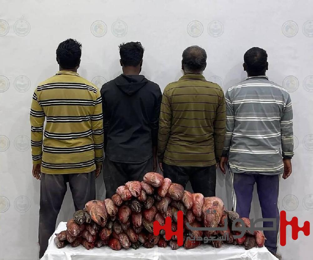 الليث.. ضبط 4 مقيمين مخالفين للائحة الأمن والسلامة في المناطق البحرية