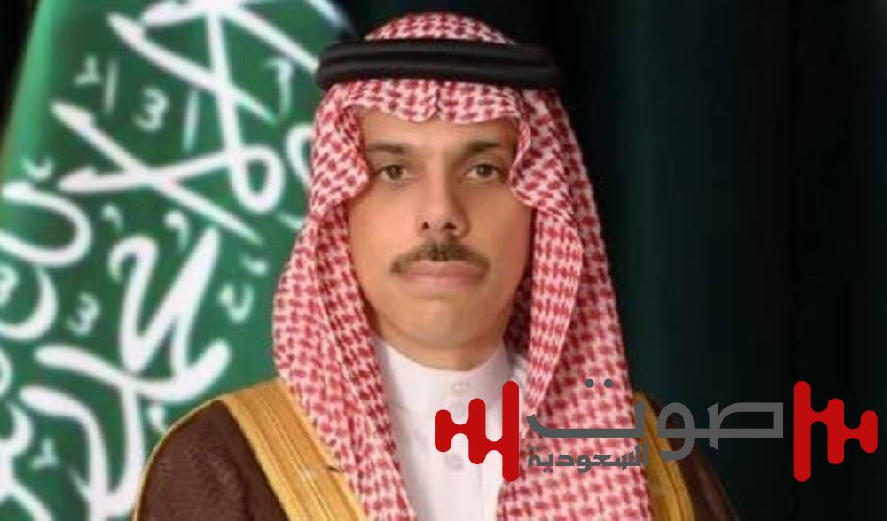 وزير الخارجية يبحث العلاقات الثنائية مع رئيس زامبيا