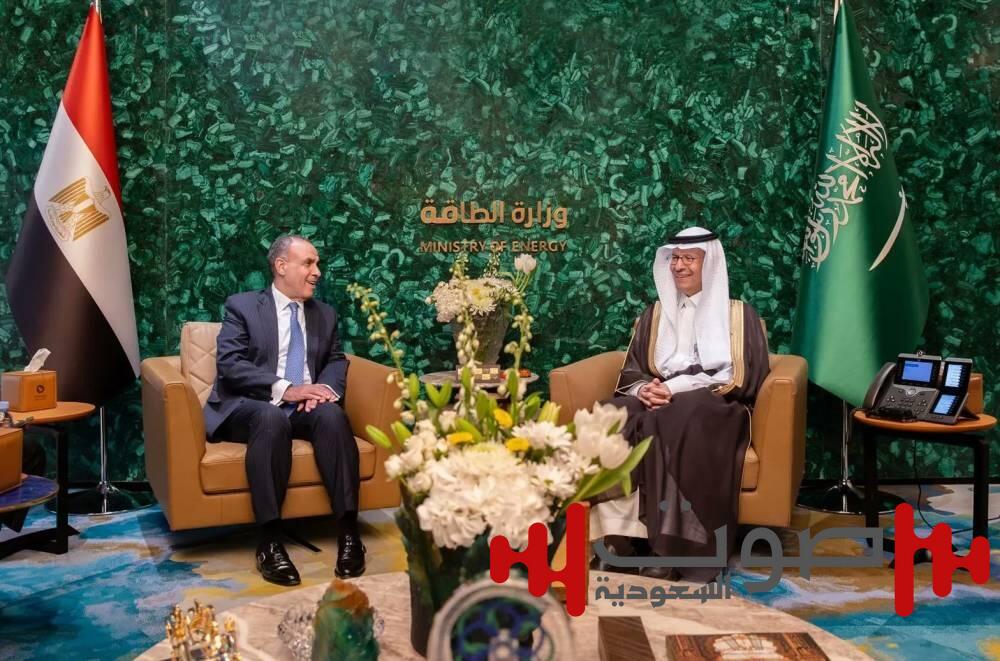 وزير الطاقة ووزير الخارجية والهجرة المصري يبحثان تعزيز التعاون