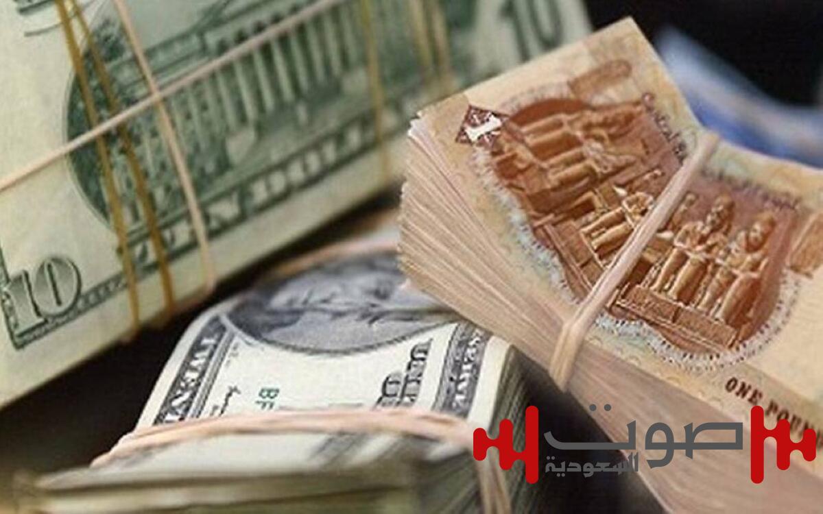 بعد سلسلة خسائر.. ارتفاع مفاجئ بسعر الدولار مقابل جنيه مصر