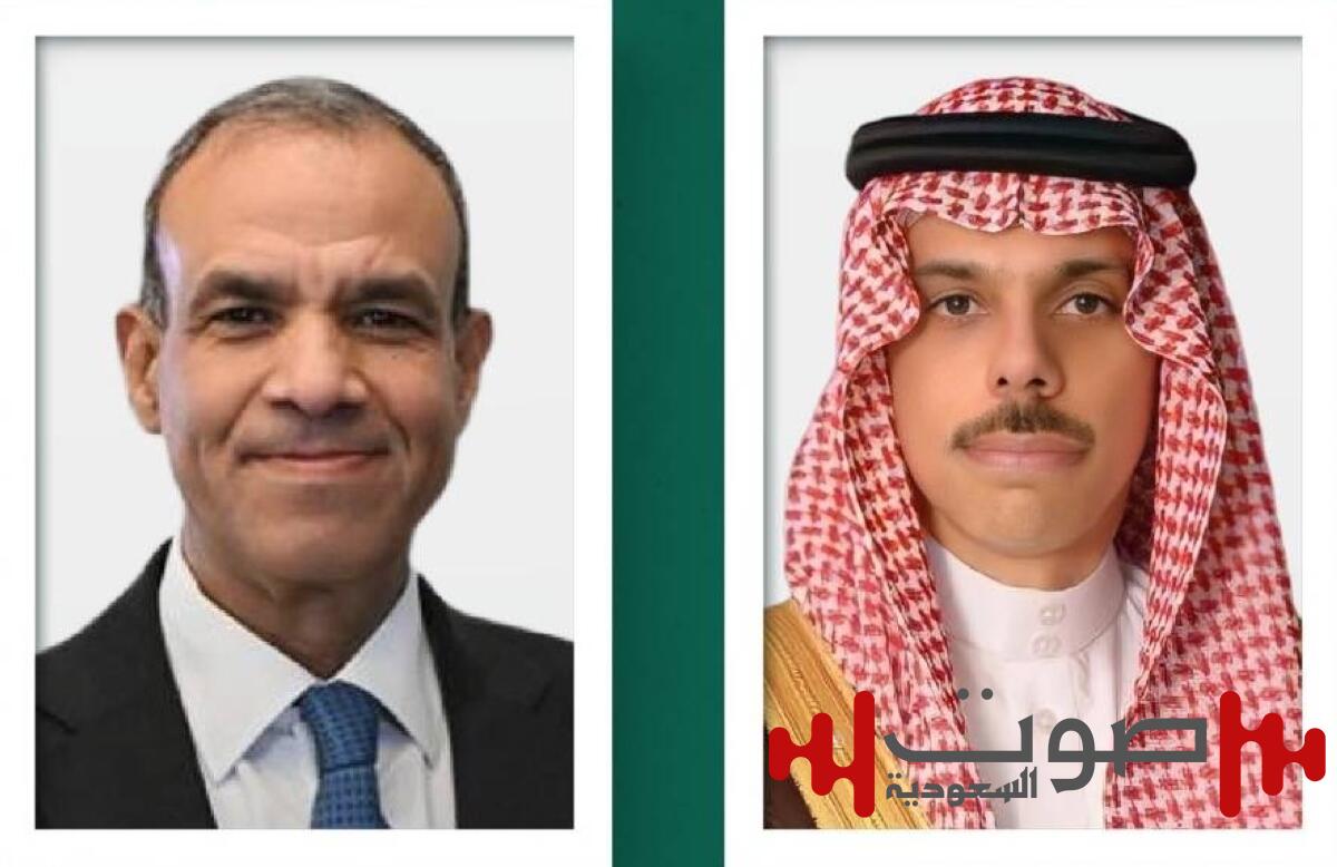 وزير الخارجية يبحث هاتفياً مع نظيره المصري أهمية وقف الانتهاكات الإسرائيلية بغزة
