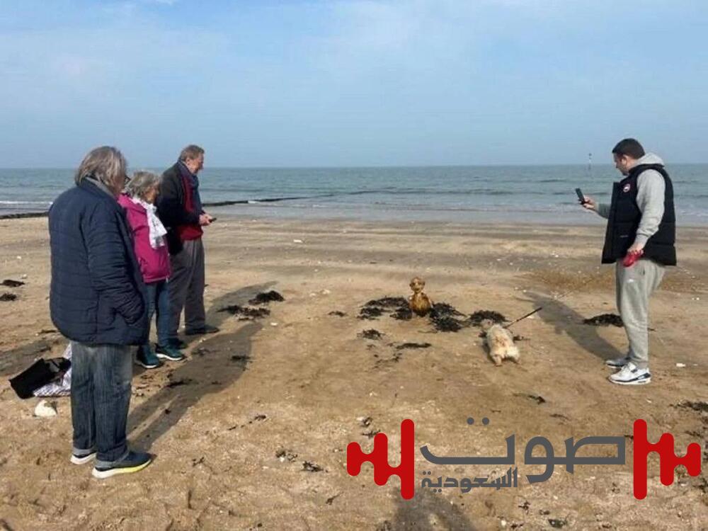 حورية أم لغز بحري؟.. هيكل غامض يثير الجدل على شواطئ بريطانيا