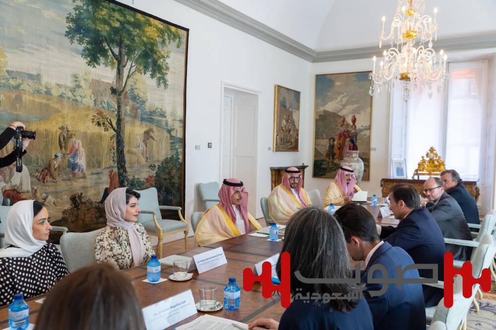 وزير الخارجية ونظيره الإسباني يناقشان المستجدات في قطاع غزة والضفة الغربية