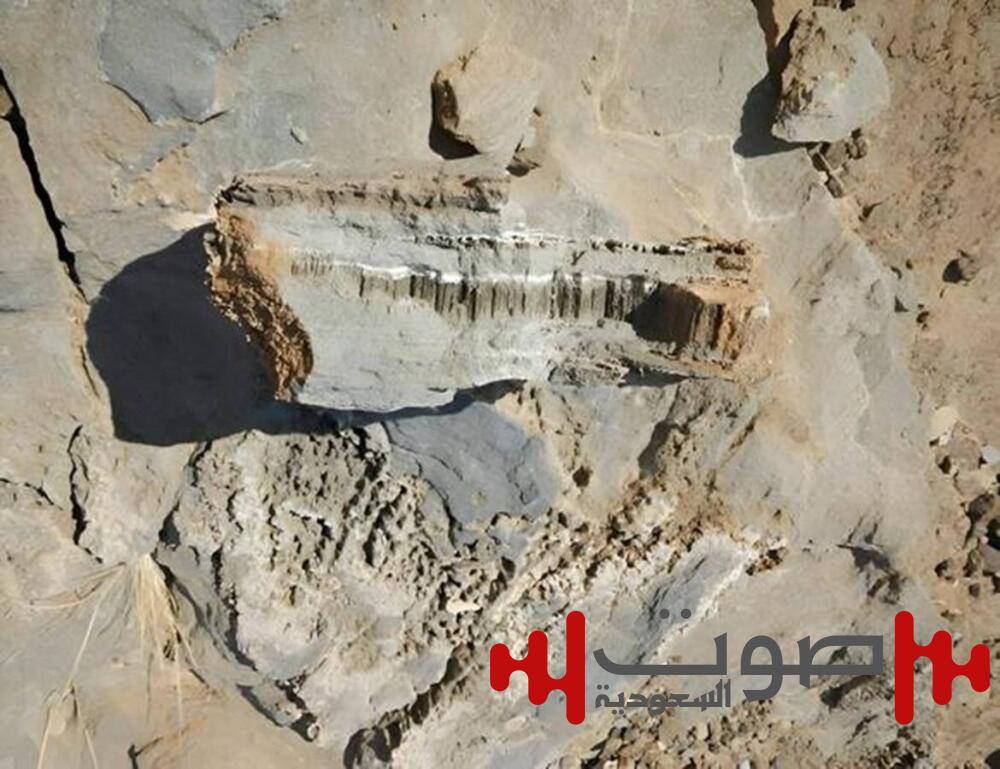 اكتشاف مذهل.. آثار حياة مجهرية في صخور «سعودية» قبل مليوني عام