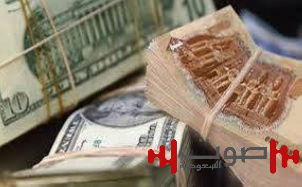 مصر: مبيعات الأجانب ترفع سعر الدولار إلى 50.77 جنيه