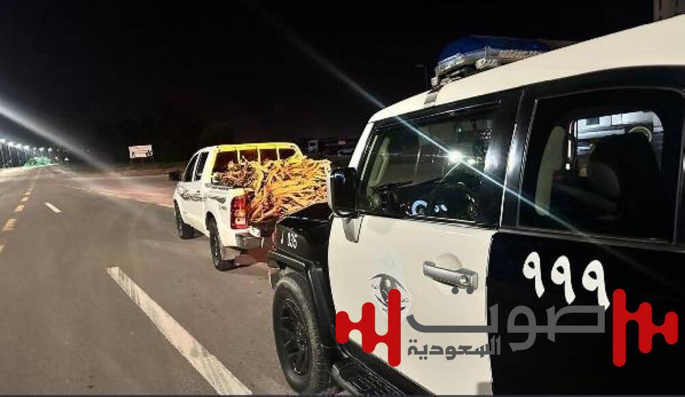 دوريات الأمن بالجوف تضبط مخالفاً لنظام البيئة