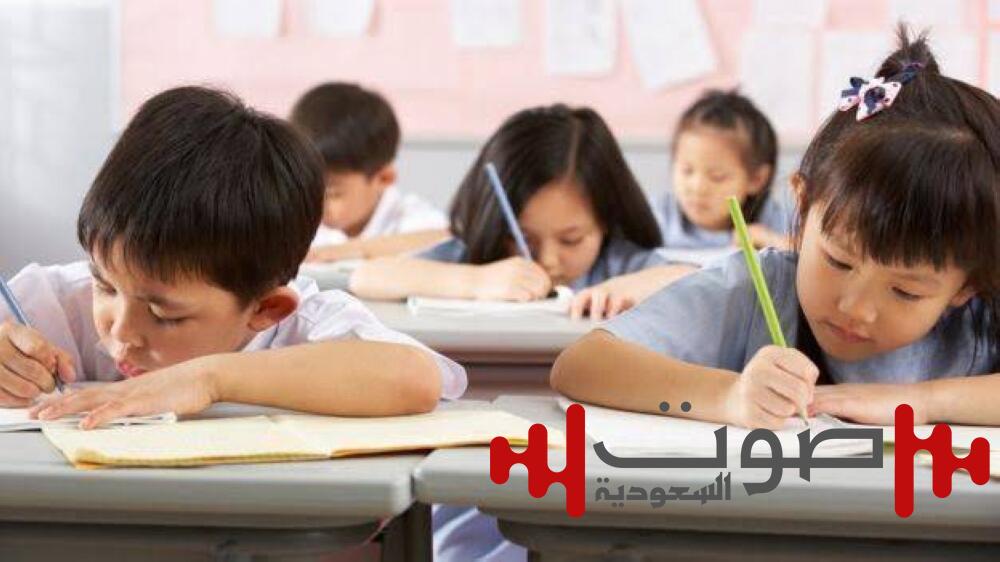 «فصول الغابات».. الصين تقدم طريقة مبتكرة للحفاظ على بصر الطلاب