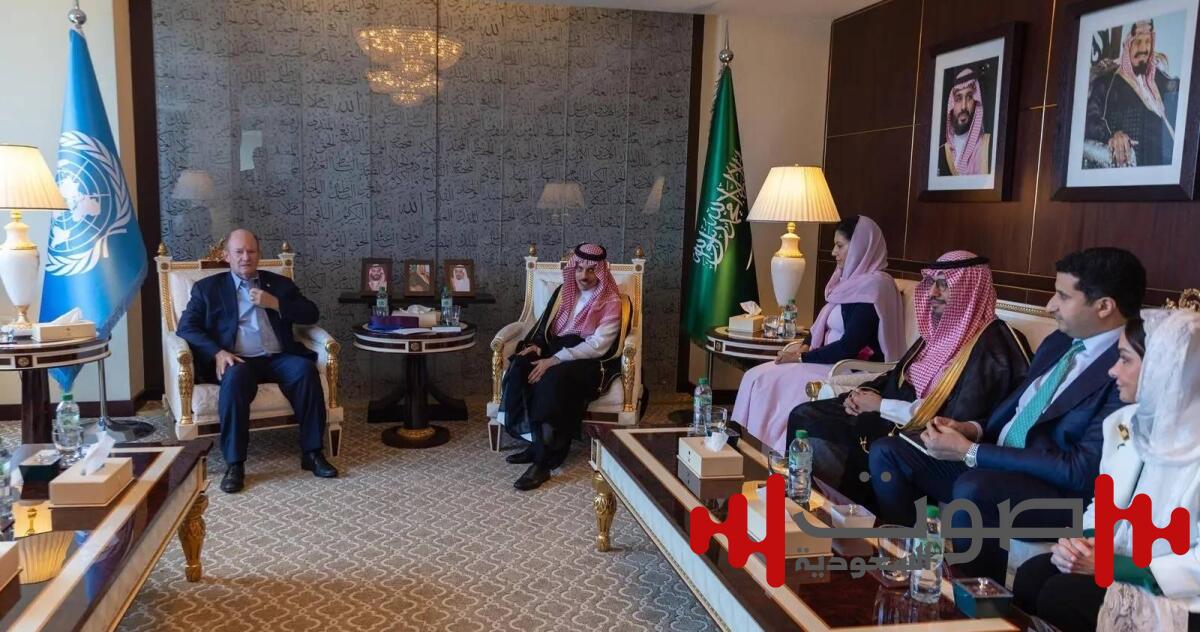 وزير الخارجية يلتقي السيناتور الأمريكي بيتر ويلش والسيناتور كريس كونز