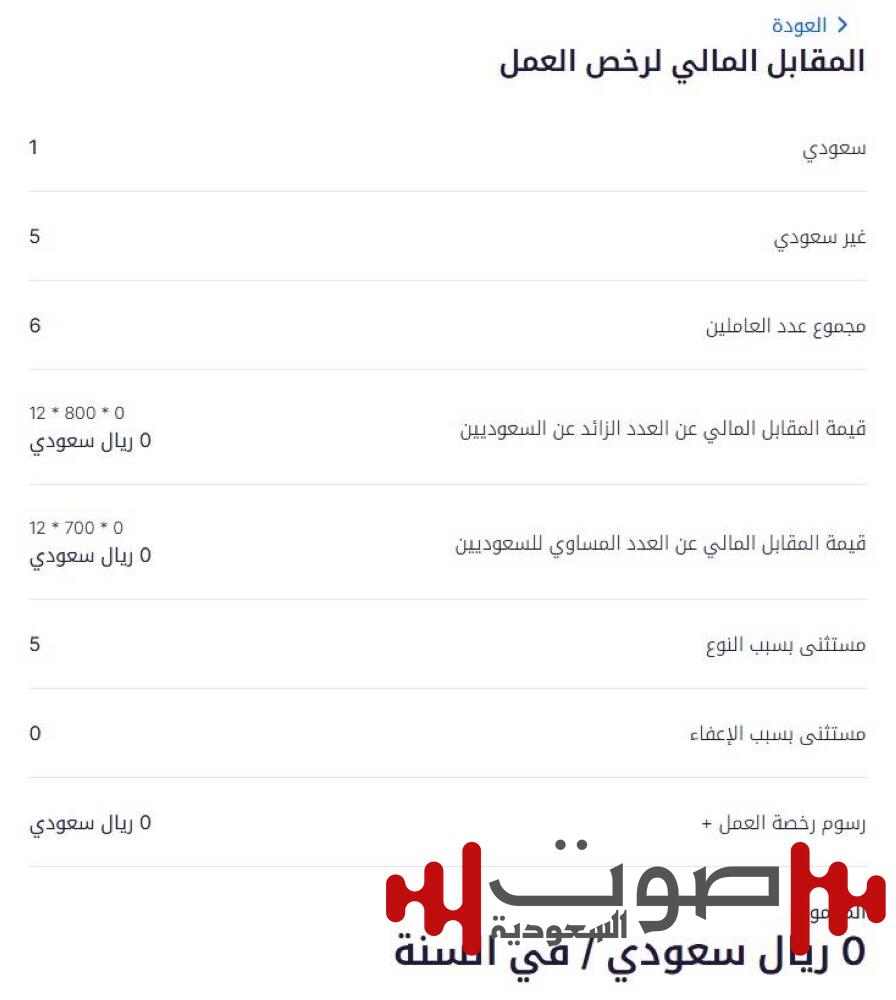 «قوى»: لا رسوم رخص العمل حتى 5 عاملين في هذه المنشآت