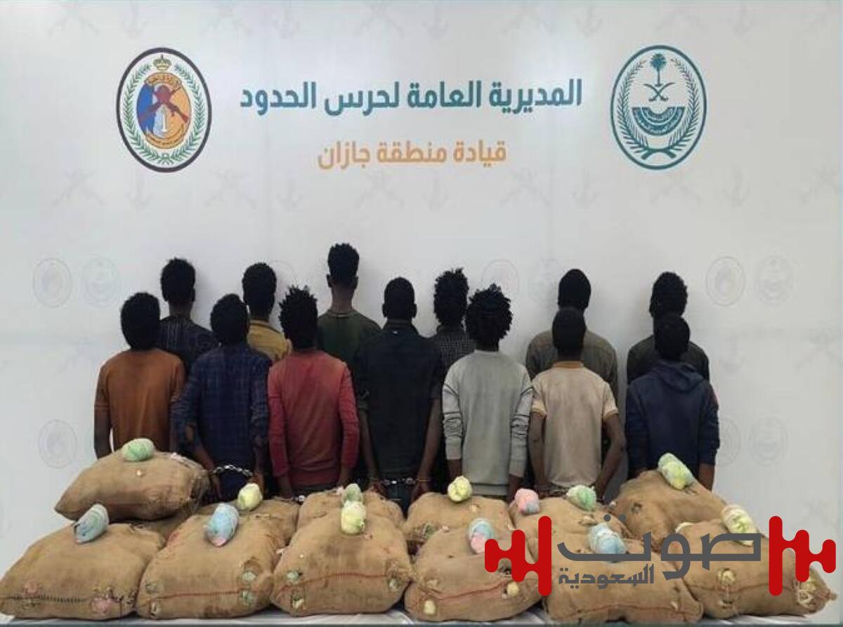 جازان: القبض على 13 مخالفاً لتهريبهم 260 كيلوغراماً من نبات القات