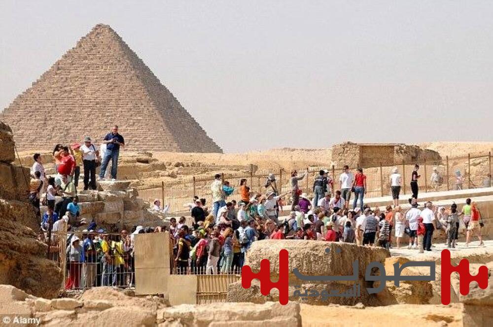 عصا سائحة هولندية تُشعل أزمة في «الأهرامات» بسبب «حمار»