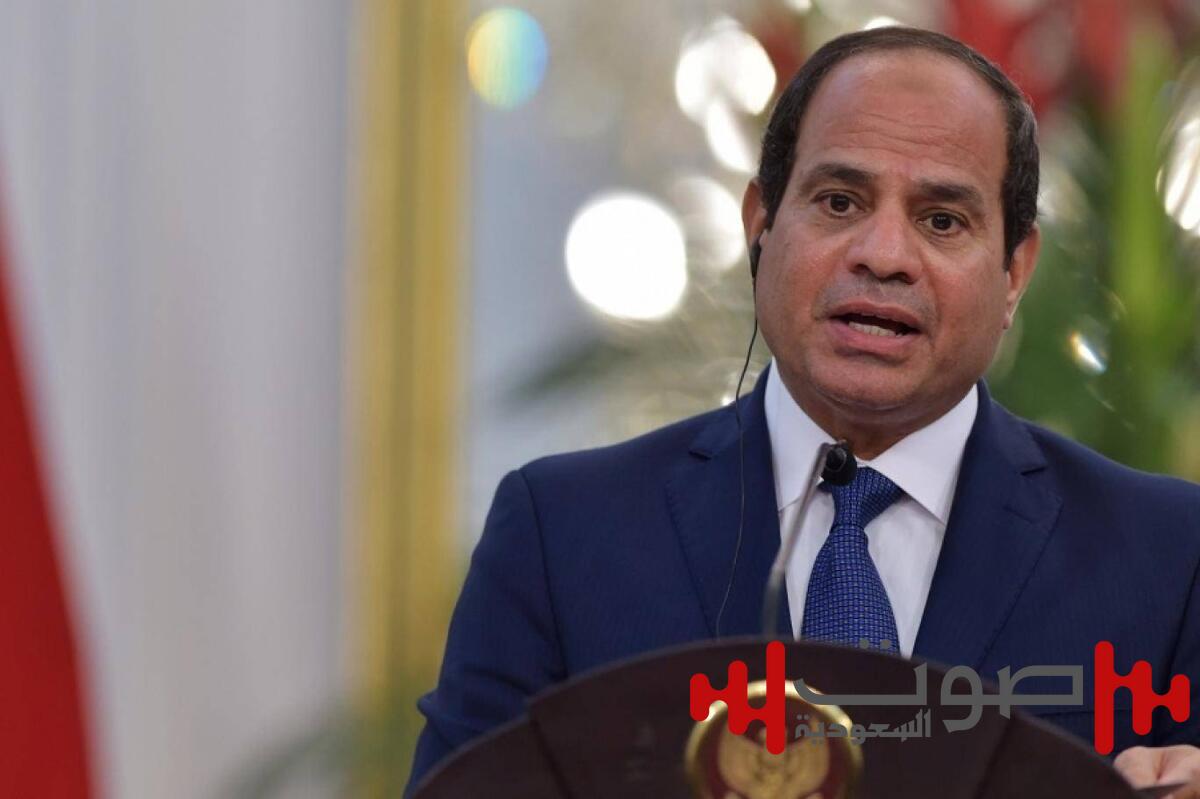السيسي: ما يجري في غزة إبادة ممنهجة لتصفية القضية الفلسطينية