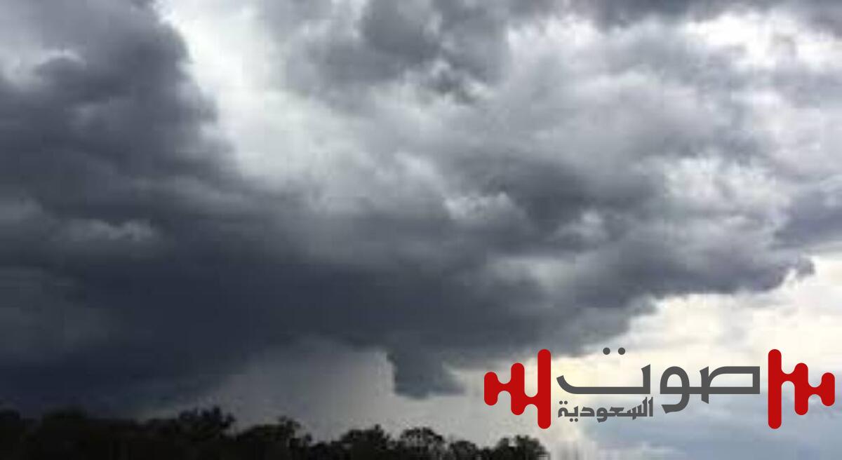 توقعات بأمطار في الجنوب.. والرياح متوسطة في الرياض .. وضباب في الغرب