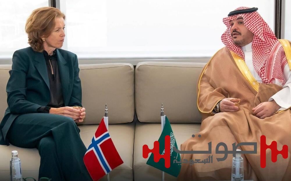 رئيس الأدب والنشر يبحث ترجمة الكتب السعودية للنرويجية