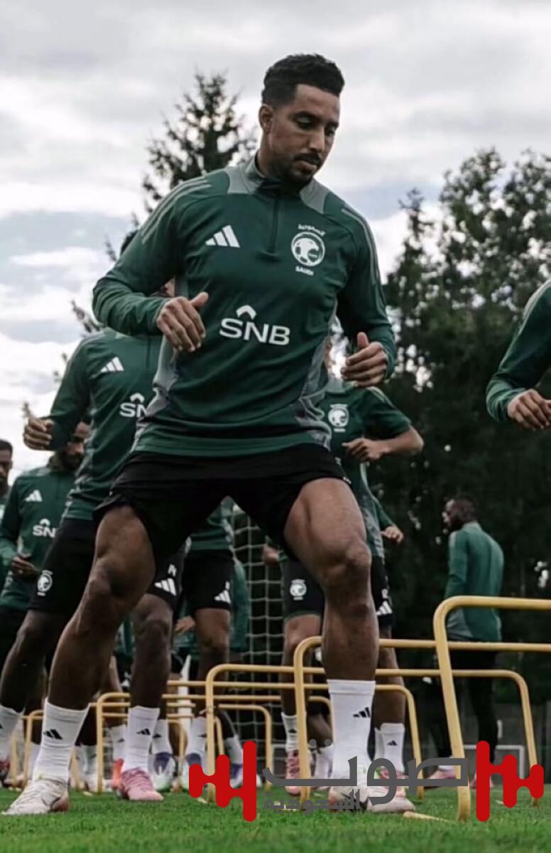 الأخضر
في اختبار التشيك