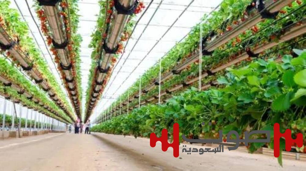 وظائف اقتصاد أمريكا أقل من التوقعات