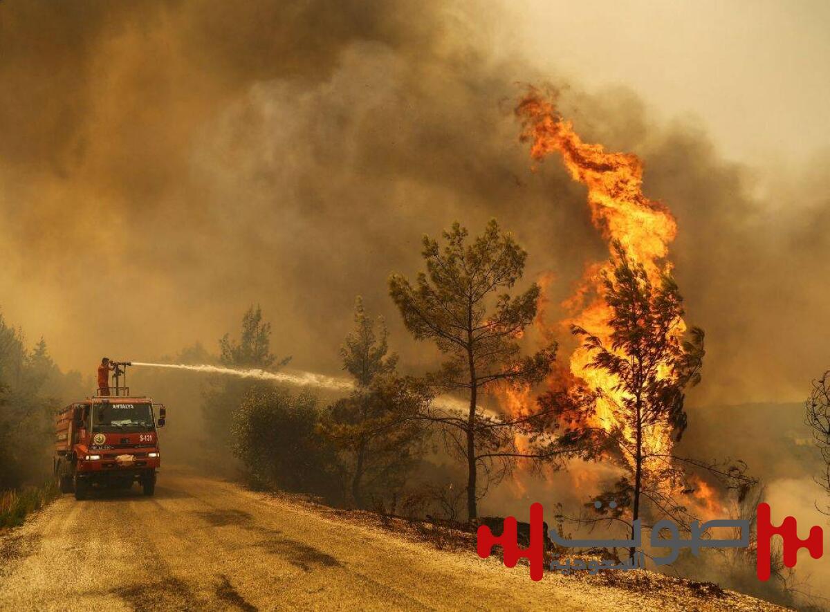 مأساة في شمال غرب تركيا.. مصرع 10 من رجال الإطفاء وإصابة 14 في حرائق الغابات